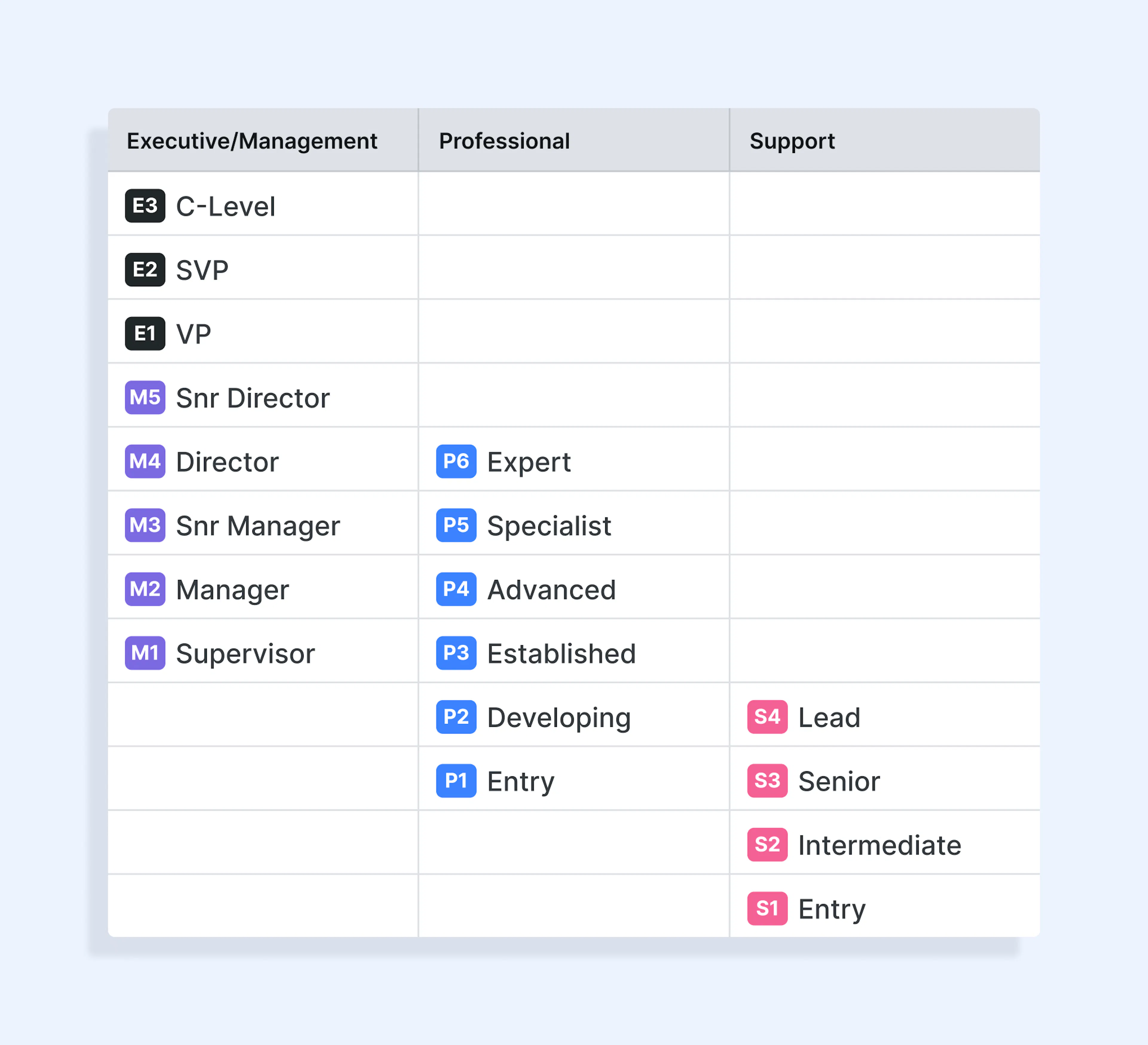 Ravios Level-Framework, das Job Levels über Support-, Professional-, Management- und Executive-Karrierepfade hinweg zeigt.