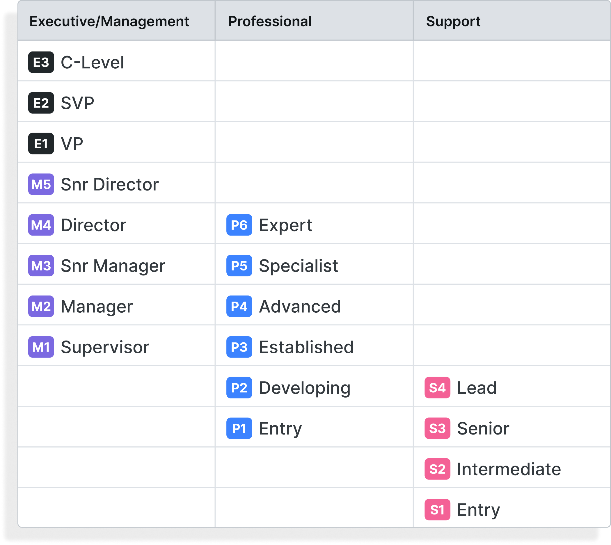 Table showing Ravio's level framework across executive, management, professional, and support roles.