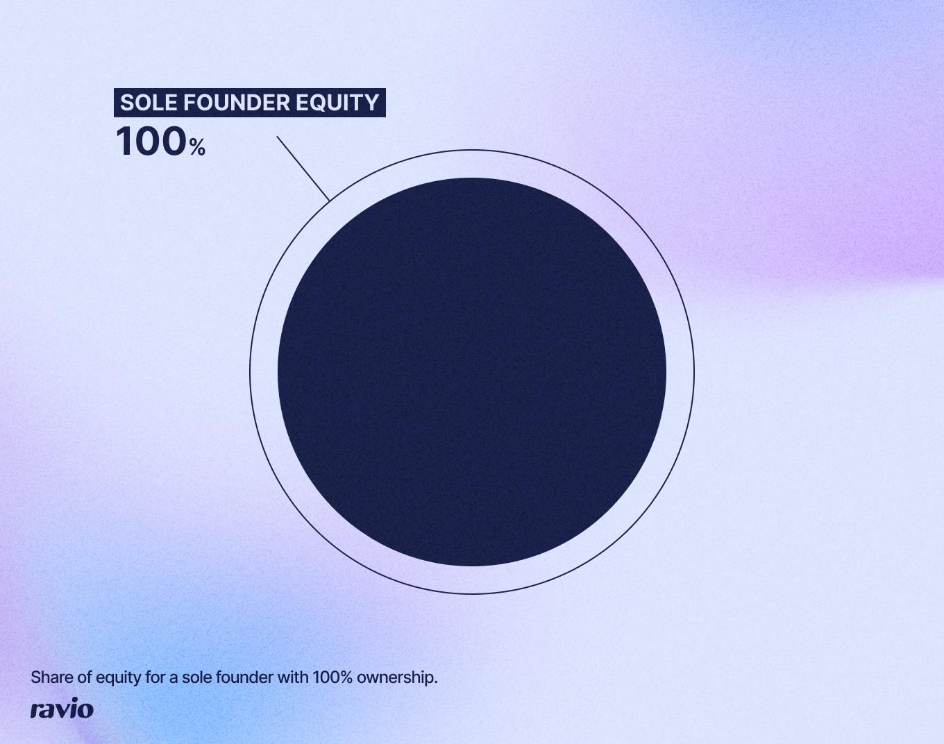 Pie chart showing 100% of equity owned by a sole founder