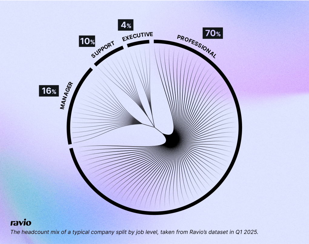 Graphic showing headcount split from Ravio's compensation dataset: 16% manager, 4% executive, 70% professional (or IC), 10% support