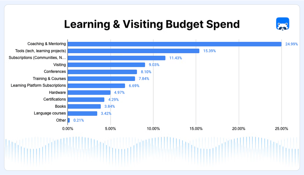 Graph showing how Checkly's team spent their learning and visiting budget in 2024