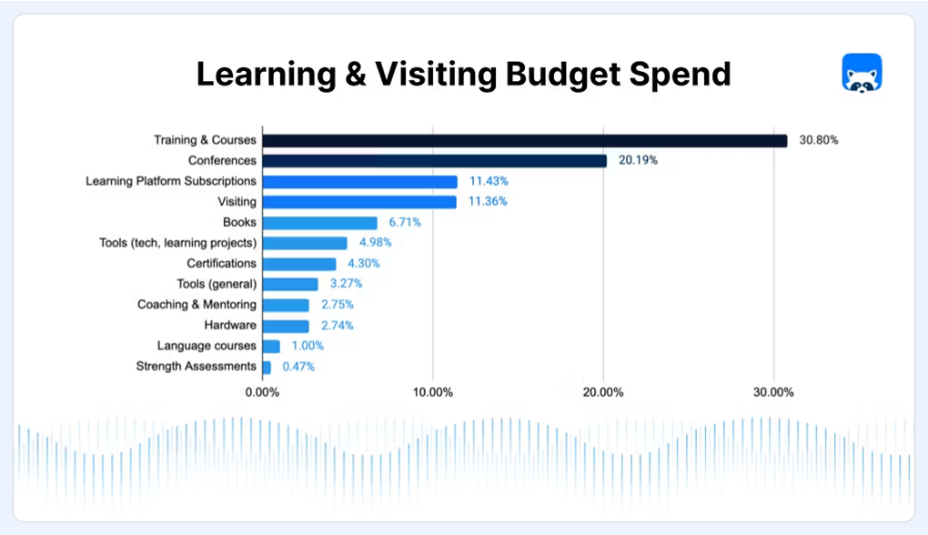 Graph showing how Checkly's team spent their learning and visiting budget in 2023