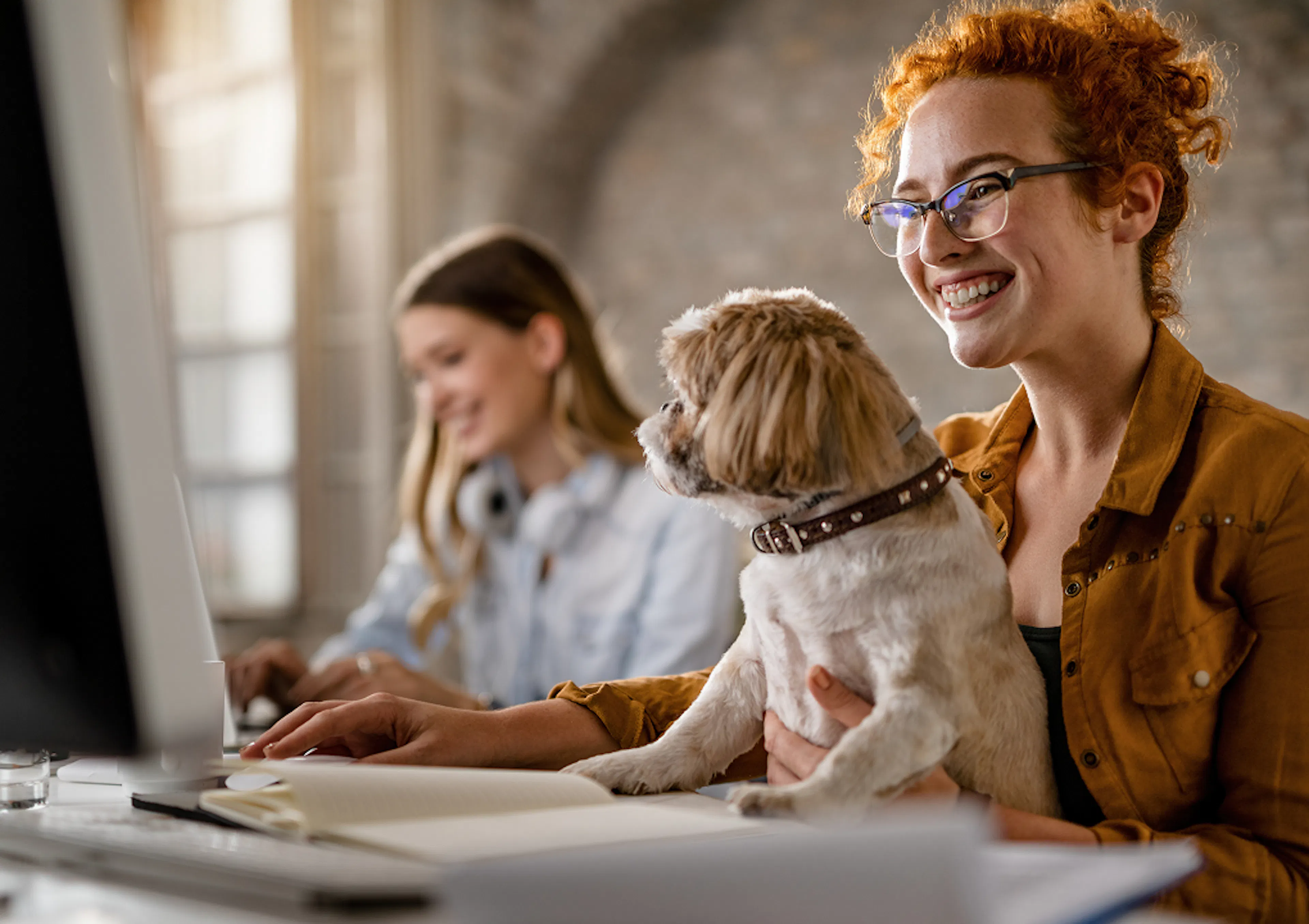 A red-haired woman is smiling, looking at a computer screen in an office environment, with a brown dog sat on her lap