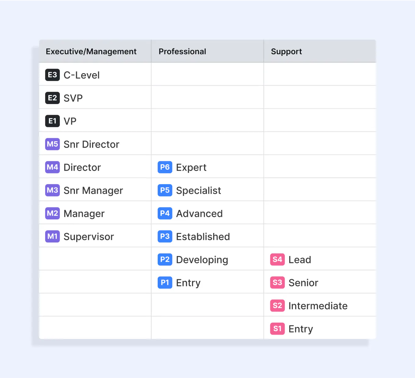 Ravio's Job-Level-Framework für Gehaltsbenchmarking.