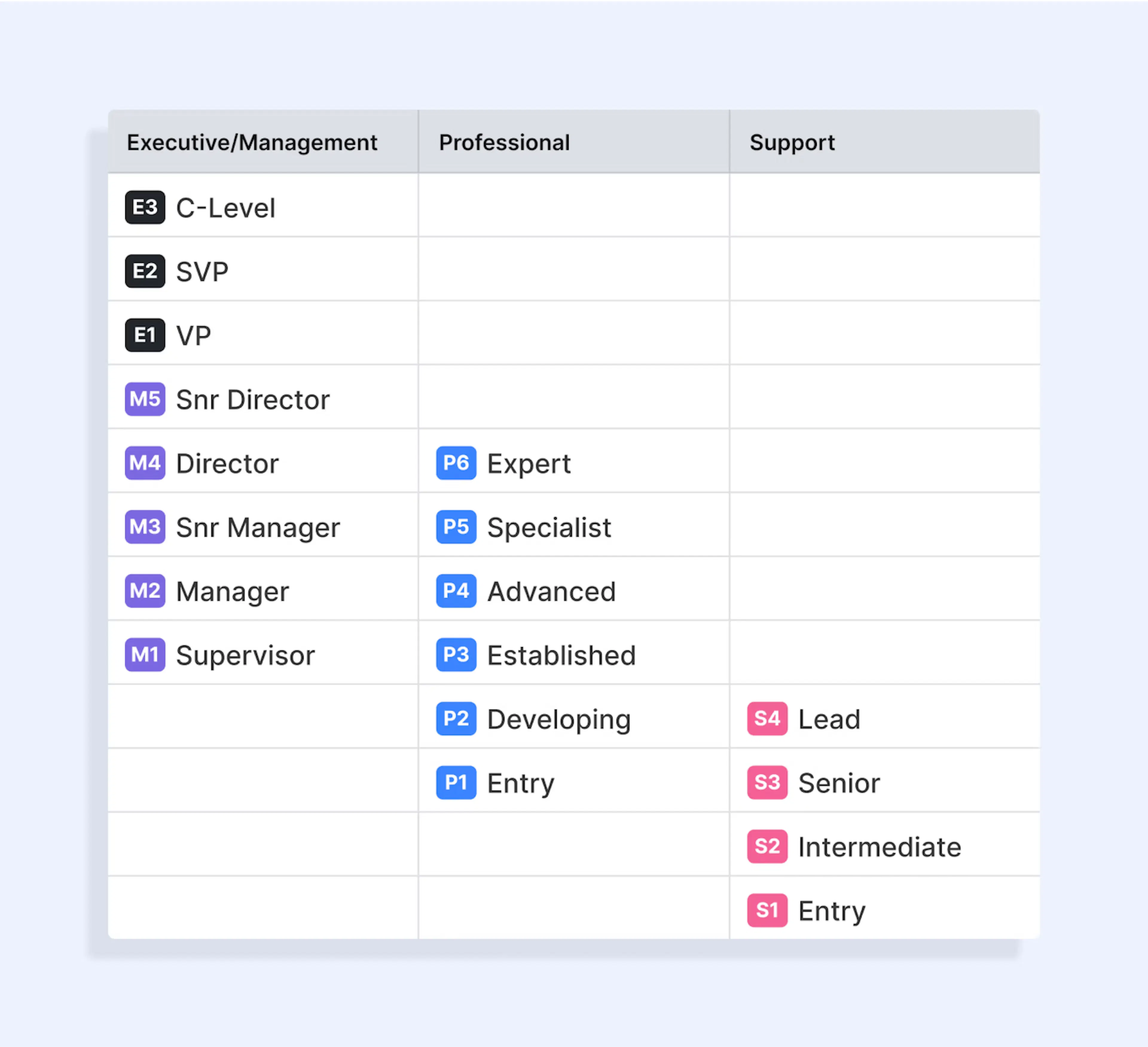 Ravio's Job-Level-Framework für Gehaltsbenchmarking.