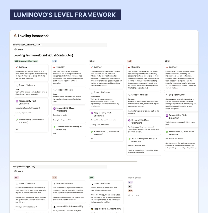 Luminovo's level framework