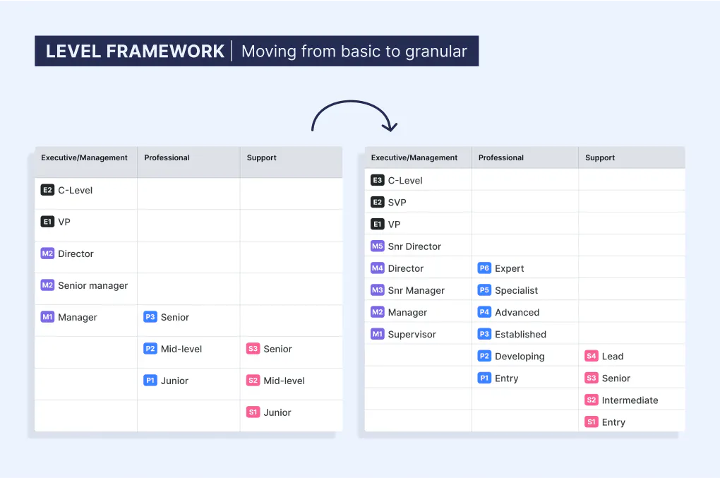 Moving from basic job levels to a more granular structure