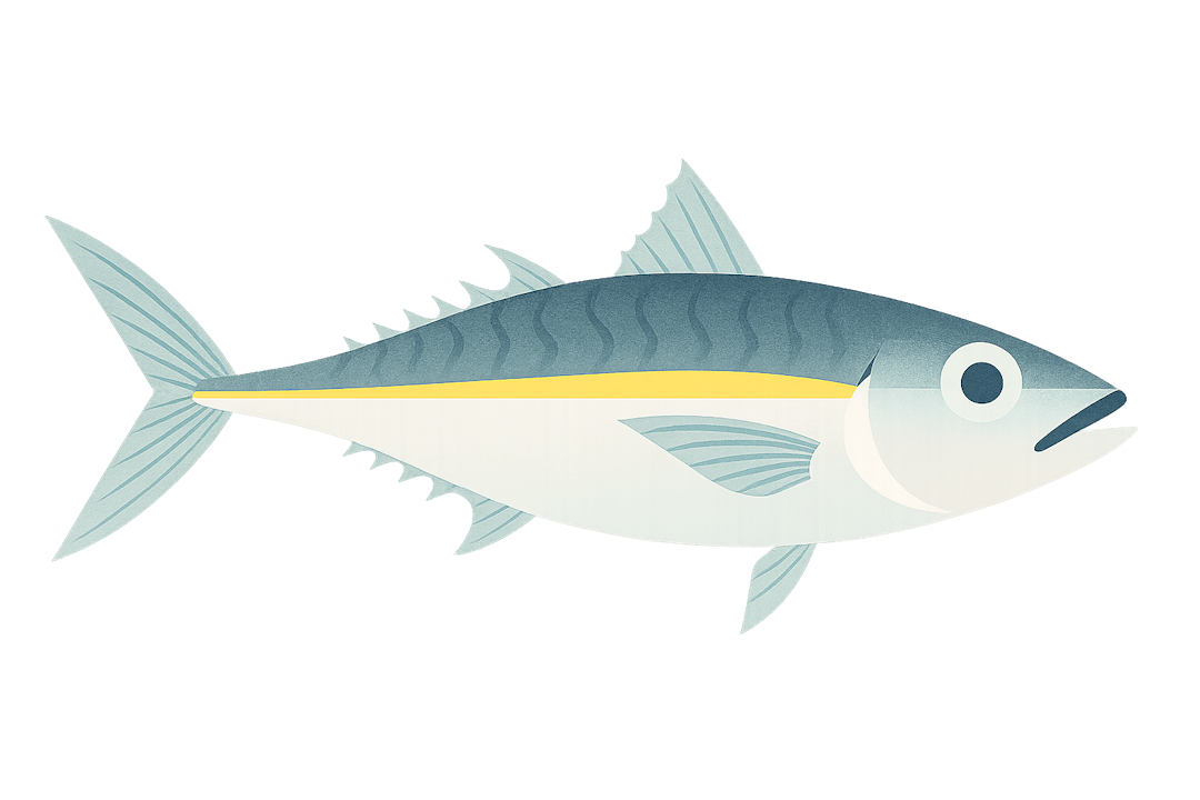 Mackerel