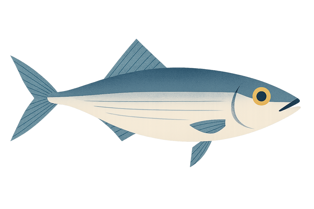 Sardinella