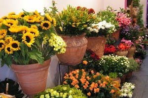 Online (rouw)bloemen en planten bestellen en laten bezorgen via Botanica, l'artisan fleuriste in Ukkel