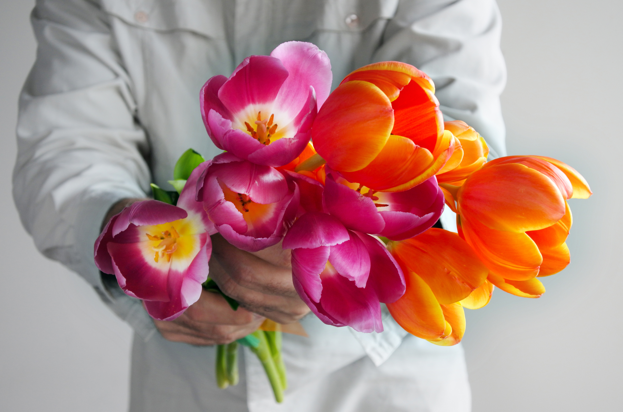Paarse en oranje tulpen