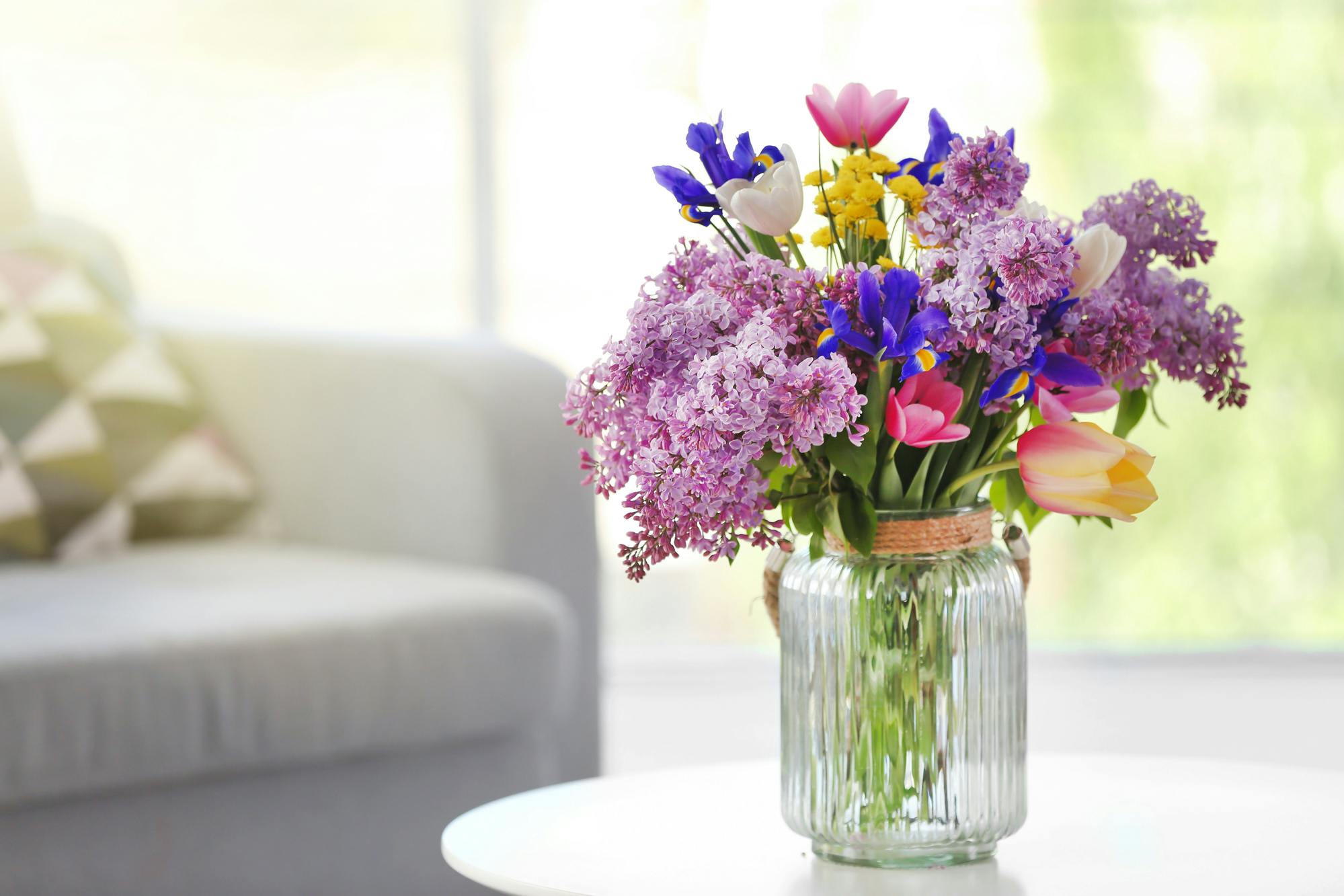 Moedig rekruut zeker Typische zomerbloeiers en de beste verzorgingstips voor prachtige bloemen  in huis