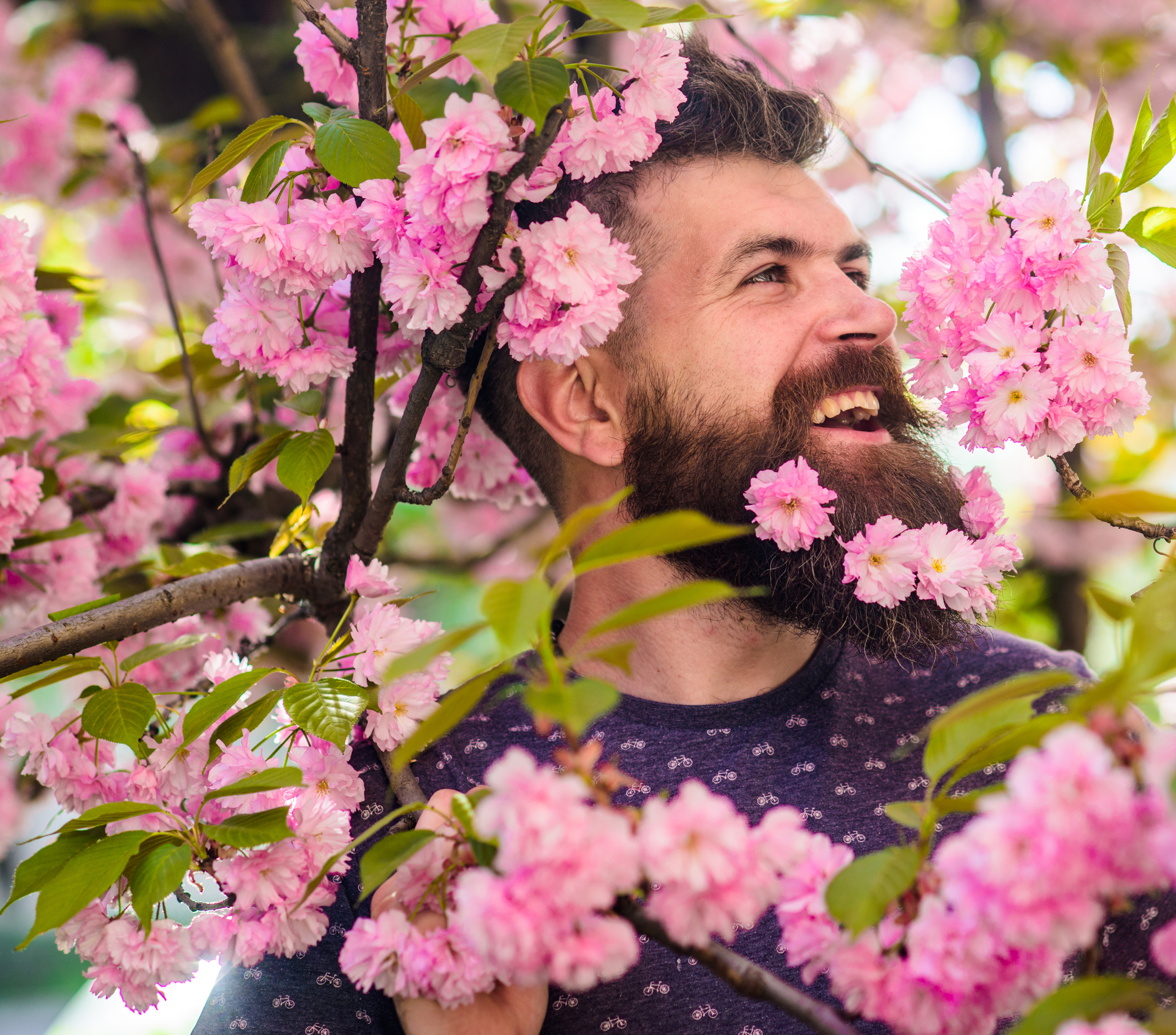 Lachende man met baard tussen takken roze kersenbloesem
