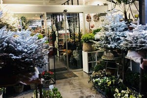 Online bloemen en planten bestellen en laten bezorgen door De Duindistel in Blankenberge-Uitkerke