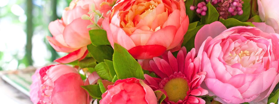 Typische zomerbloeiers en de beste verzorgingstips voor prachtige bloemen in huis en online bloemen bestellen en aan huis laten bezorgen in heel België afbeelding banner.