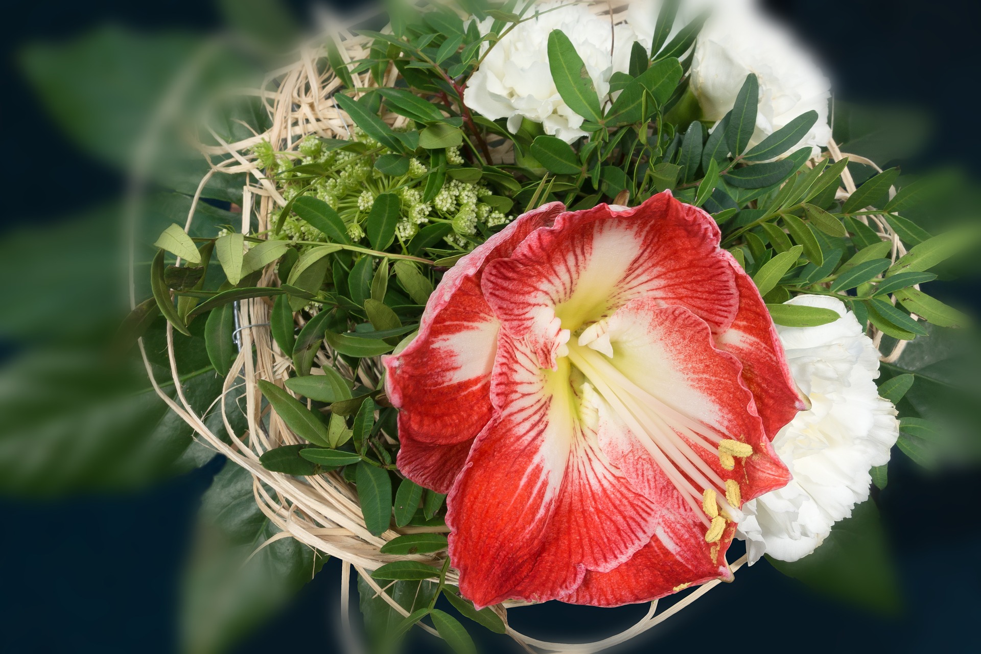 Amaryllis bewaren boeket