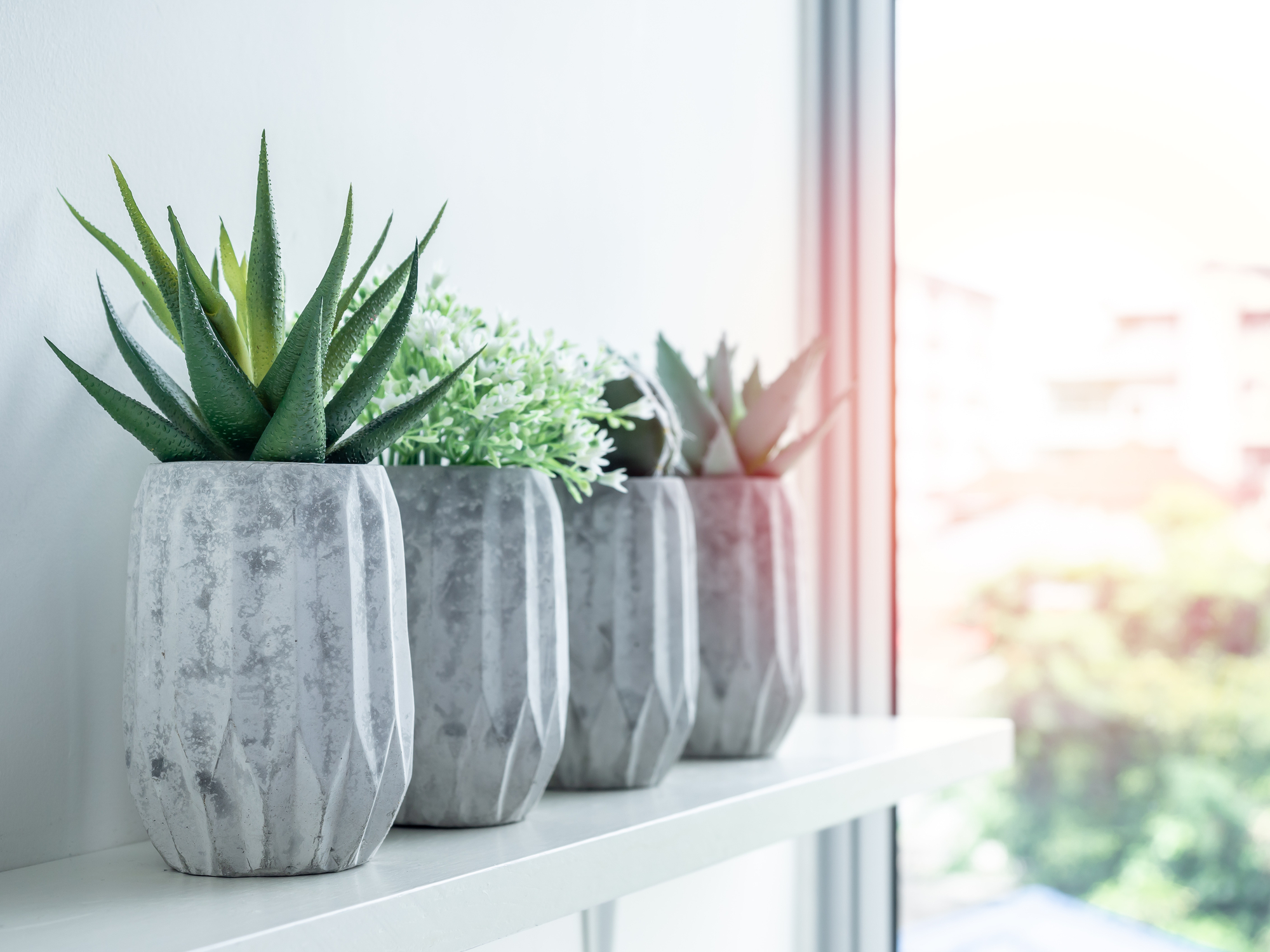 Bloemen en planten trend interieur 