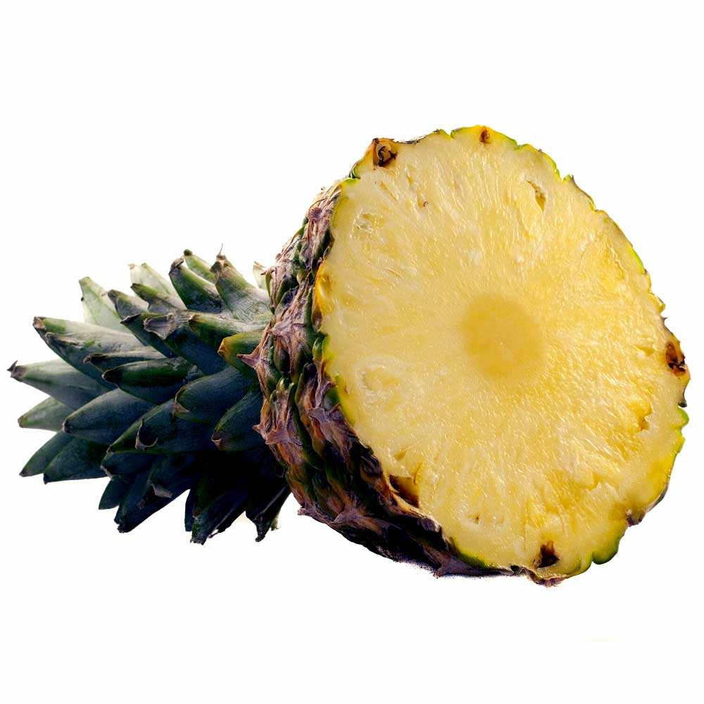 Bromelia Ananas Ananasplant giftig