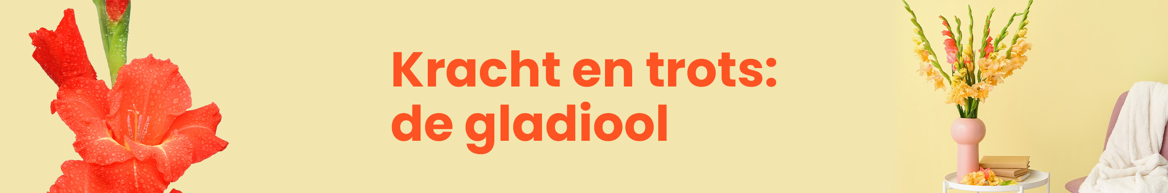 Gladiolen kracht en symboliek