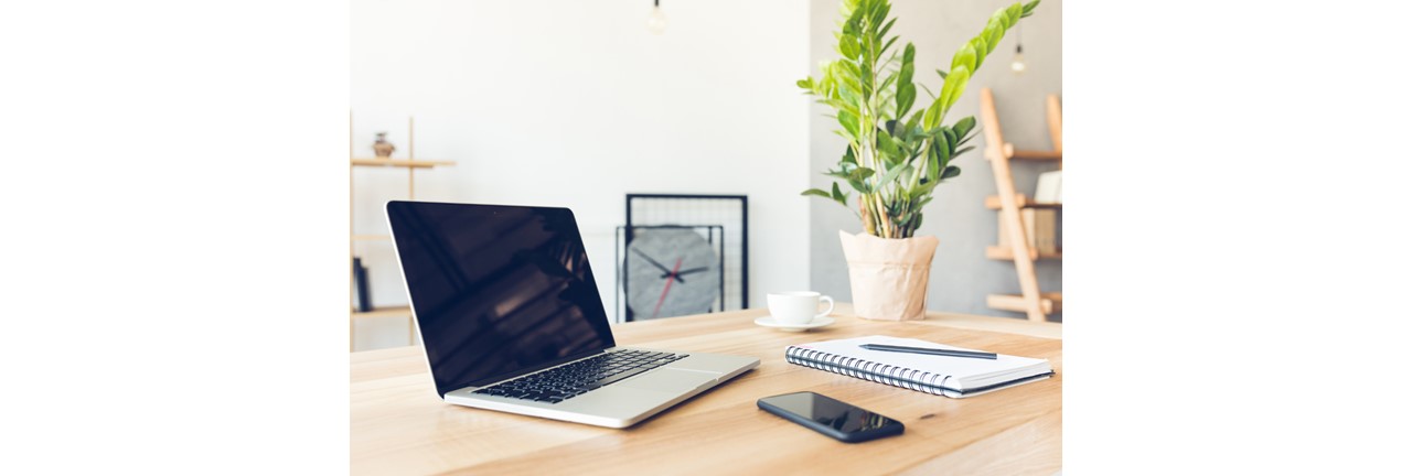 Voordelen van kamerplanten op de werkplek van thuiswerkers