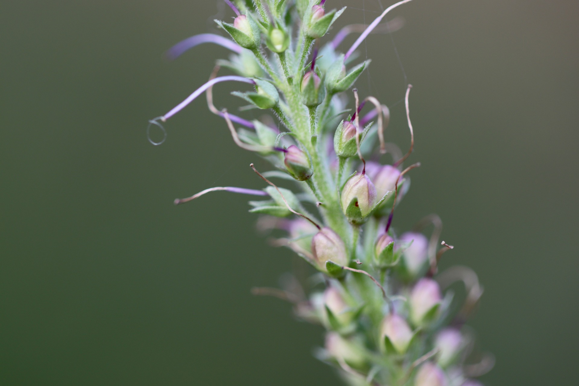 Veronica Korte Samenvatting