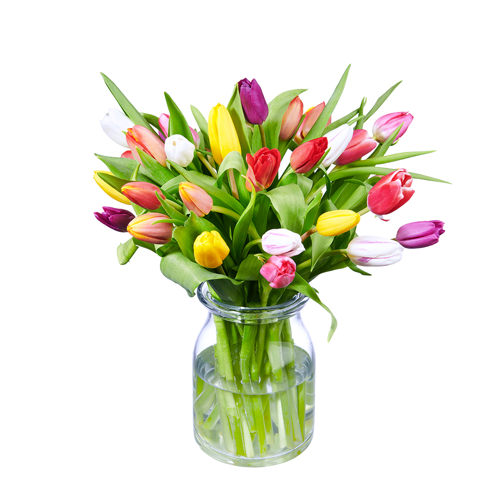 Tulpen verzorging in vaas