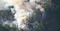 Forest Fire