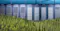 Container