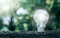 bulb
