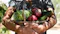 Vegetables