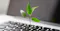 Leaf on laptop
