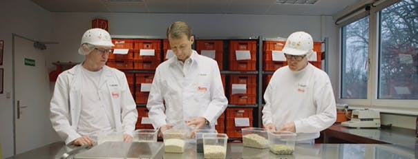Revisioning sustainability in the bread-making industry