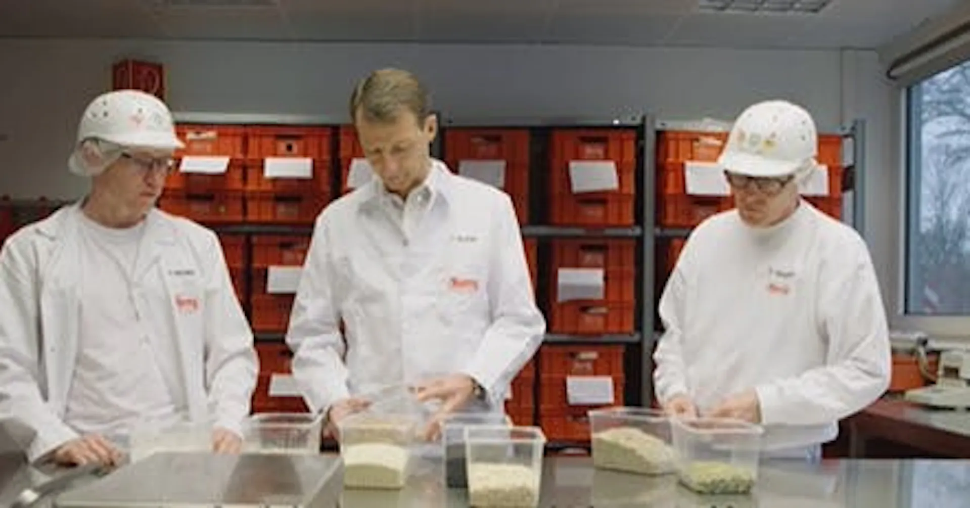 Develop Bread Revisioning sustainability in the bread-making industry