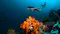 Scuba diving