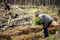 Woman planting trees in forest