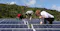 solar panels