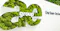 AE group logo