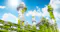 Petrochemical plant industrial area equipment