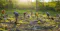 The image depicts a group of people engaged in planting activities in a forested area. They are working in a clearing, using tools like shovels to plant saplings or seeds, suggesting an effort towards reforestation or environmental conservation. The setting is serene with sunlight filtering through the trees, indicating a positive and purposeful outdoor activity.