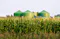The image shows a biogas plant situated behind a field of corn. The plant consists of large, green, cylindrical tanks with conical roofs, indicating its purpose of converting organic material, such as corn, into biogas. This setup highlights the integration of agriculture and renewable energy production, where crops are used as a feedstock for generating sustainable energy.
