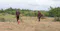 The image depicts two individuals engaged in land surveying or possibly demining activities in a rural area. They are wearing brown uniforms and hats, carrying equipment that appears to be used for scanning or detecting objects beneath the ground. The area is marked with red tape, likely indicating boundaries or sections of interest. The background features a mix of open grassy terrain and dense green vegetation, suggesting a remote or undeveloped location.