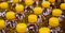Oil Bottle image