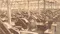 The predecessor company of Nittobo around 1920