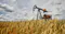 The context provided is an image showing a wheat field with an oil pumpjack (also known as a nodding donkey or oil well pump) in the background. The scene combines agriculture and energy production, highlighting the intersection of farming and oil extraction industries. The sky is partly cloudy, suggesting a rural setting. This image may be used to discuss topics such as land use, resource management, or the economic relationship between agriculture and energy sectors.