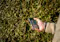 Mobile