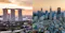 Silicone Valley and Singapore view