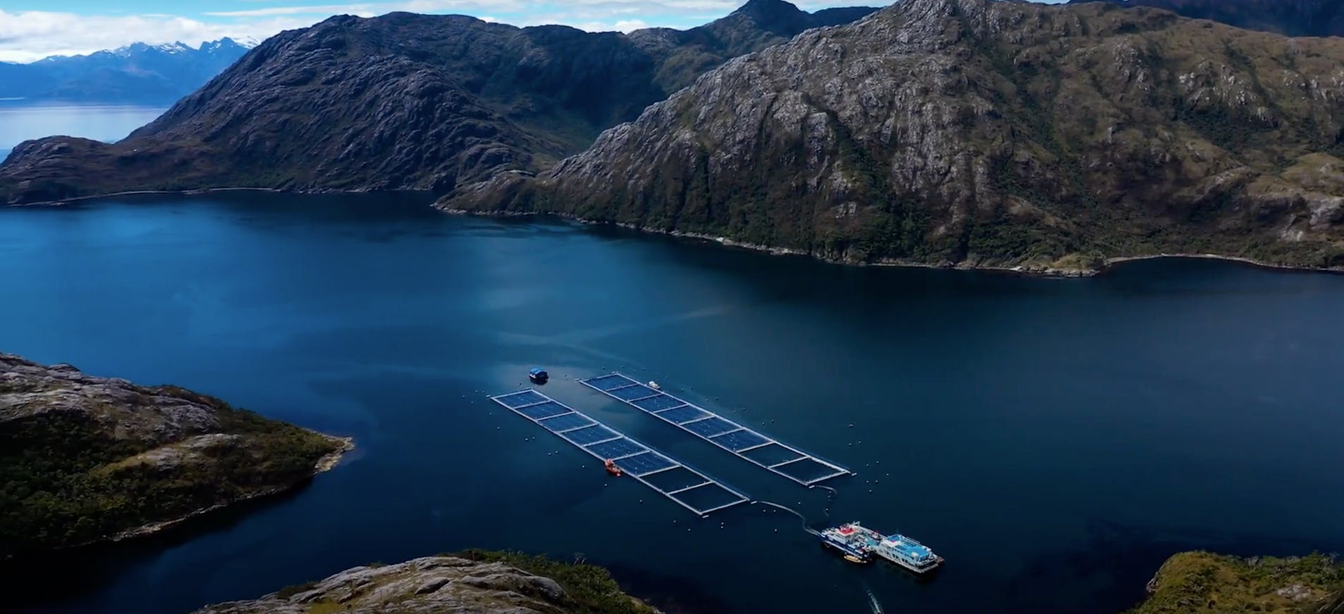 Iceland, Open-Net Fish Farms, and the Final Frontier for Wild Atlantic  Salmon - Patagonia Stories