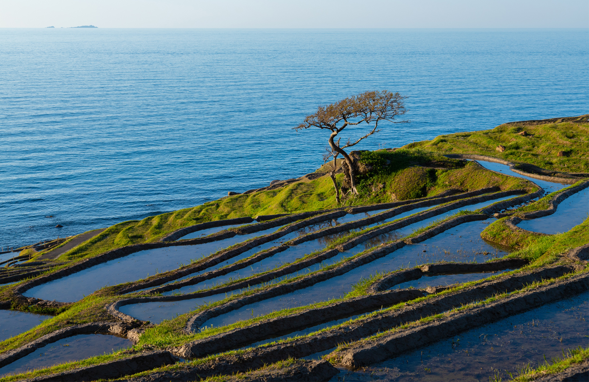 Japan’s broad alliance for biodiversity