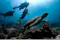 Scuba Diving