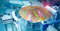 instrument image